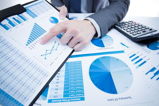 洞察市場，鏈接貿易 國內知名市場調研與貿易代理服務機構概覽